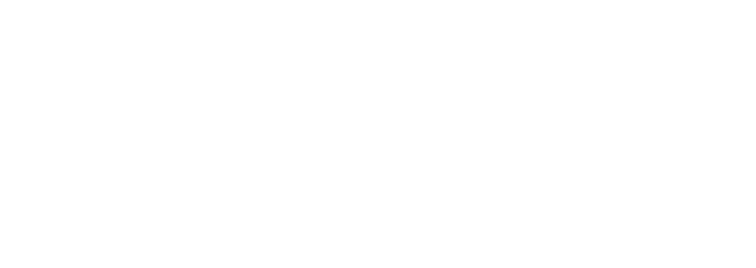 Logo Braun