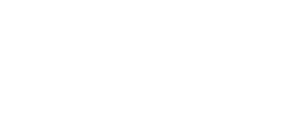 Logo Braun Header
